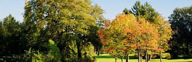 A landscape photograph of Bowring Park in autumn.